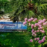 Pensión Palace Schoen Milesi - Esense Of Prestige - Private Pool - Old Money Style Luxury - Walking Distance To The Old Town, The And Amenities - Buralux 4*