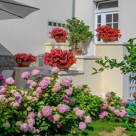 Palace Schoen Milesi - Esense Of Prestige - Private Pool - Free Parking - Old Money Style Luxury - Walking Distance To The Old Town, The And Amenities - Buralux Guest house Split